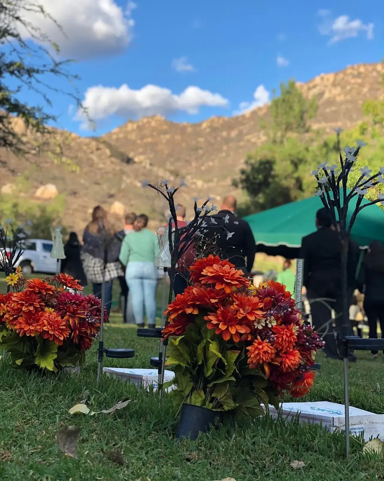 Colorful flowers at an outdoor cemetery in the San Diego mountains